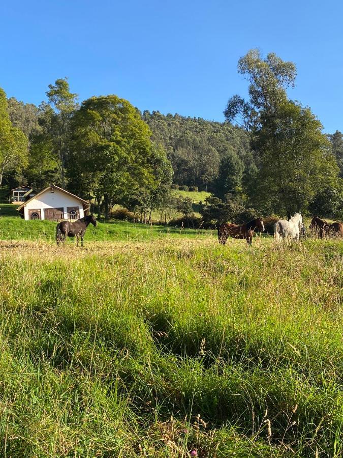 La Posada De Los Arcangeles Hotell Madrid Eksteriør bilde