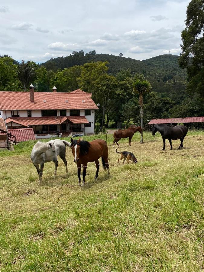 La Posada De Los Arcangeles Hotell Madrid Eksteriør bilde